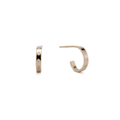 The Jade Earrings